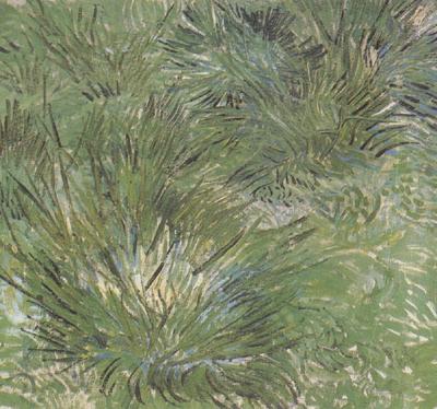 Vincent Van Gogh Clumps of Grass (nn04) France oil painting art
